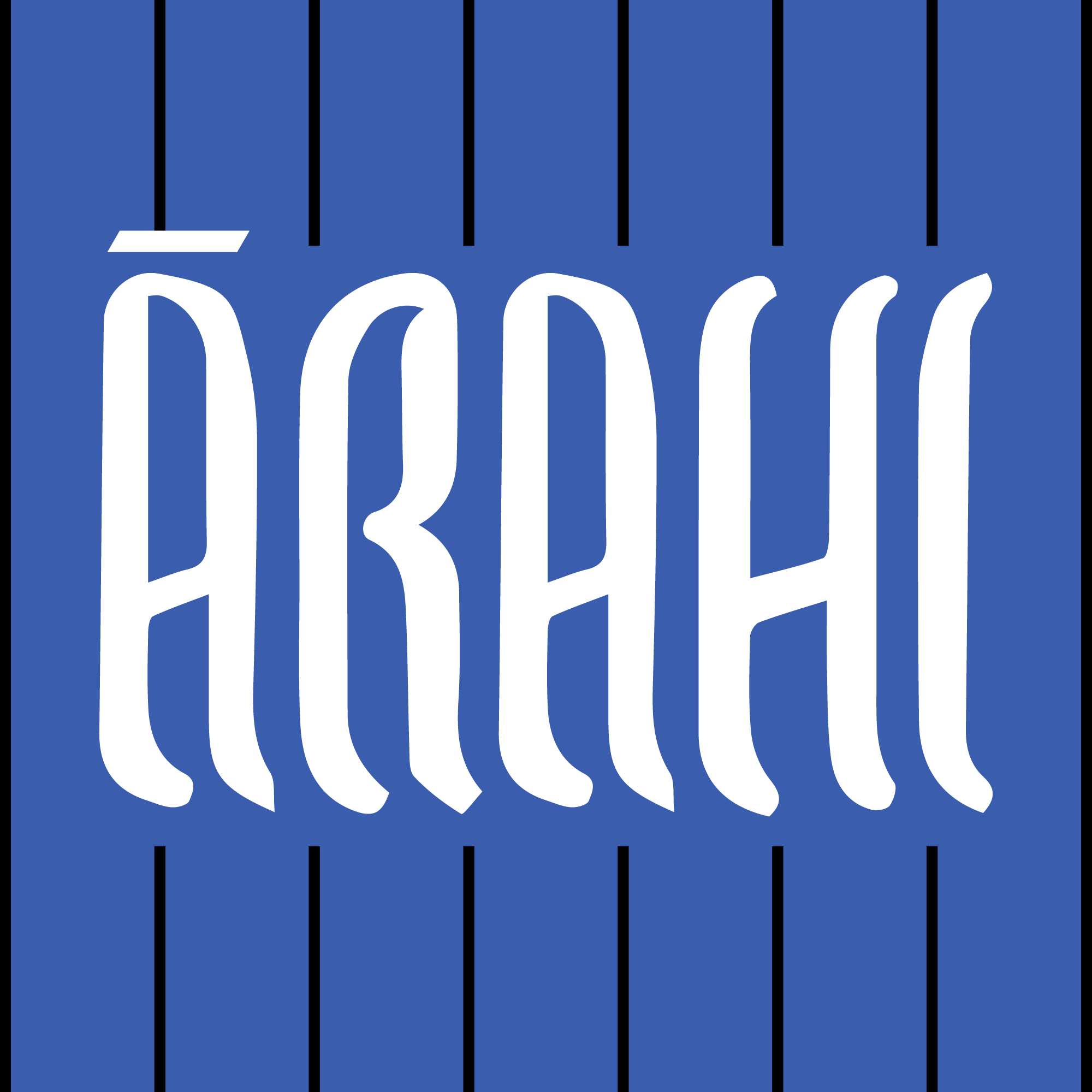Arahi Baseball Club